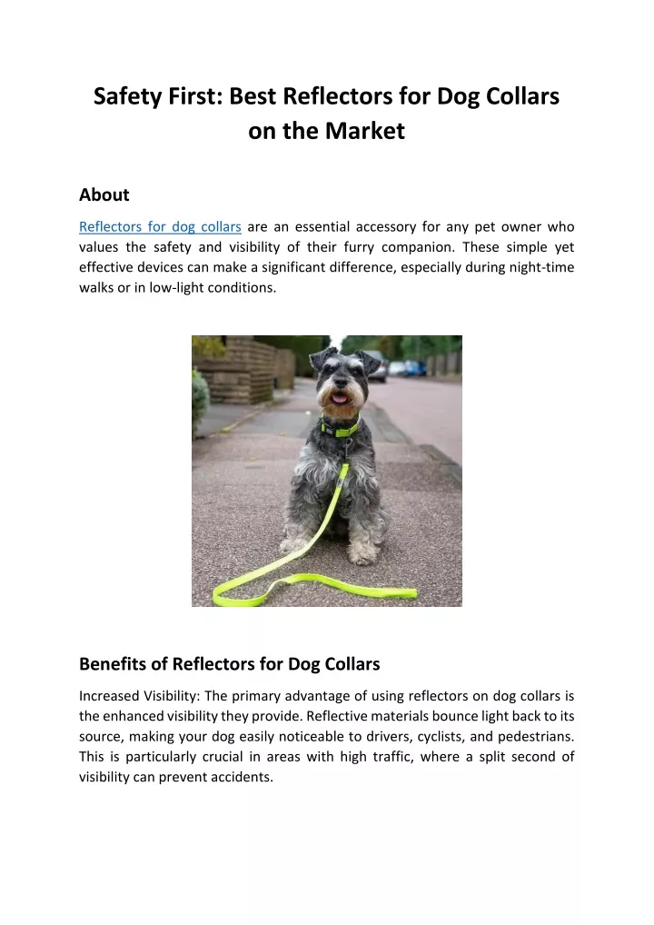 safety first best reflectors for dog collars