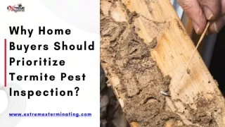 Why Home Buyers Should Prioritize Termite Pest Inspection