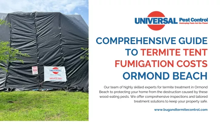 comprehensive guide to termite tent fumigation