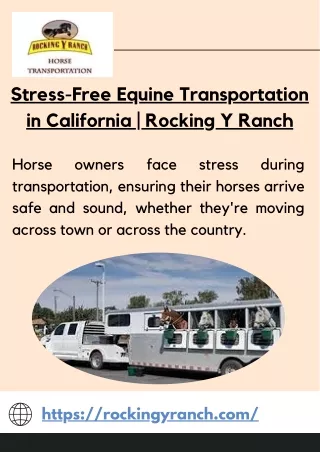 Nationwide Horse Transportation Services | Rocking Y Ranch