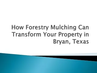 How Forestry Mulching Can Transform Your Property in