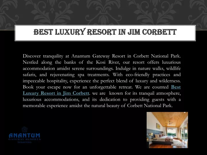 best luxury resort in jim corbett