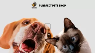 Pampered Paws & Happy Purrs: The Purrfect Pets Shop Experience