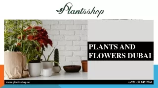 PLANTS AND FLOWERS DUBAI