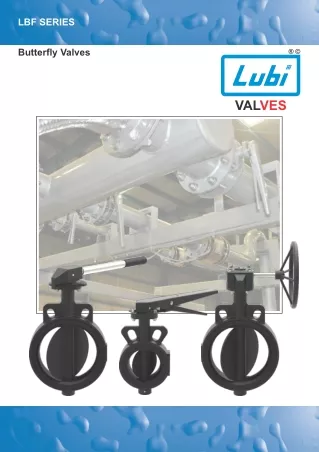 Butterfly Valves (LBF Series)