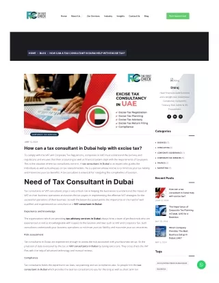How can a tax consultant in Dubai help with excise tax?