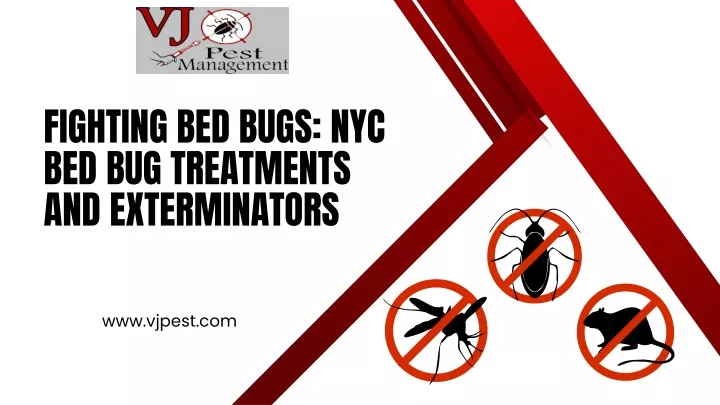 fighting bed bugs nyc bed bug treatments
