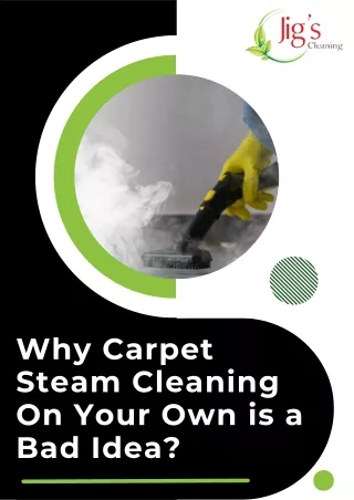 Why Carpet Steam Cleaning On Your Own is a Bad Idea