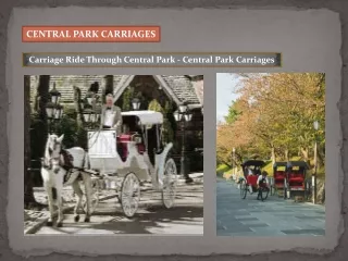 Carriage Ride Through Central Park - Central Park Carriages