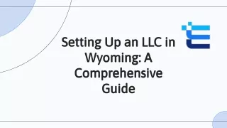 setting up an llc in wyoming a comprehensive guide