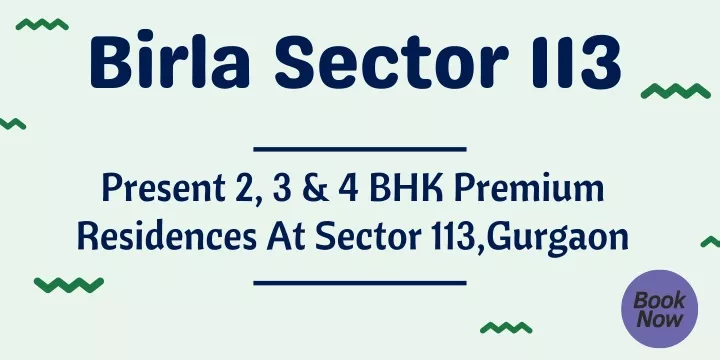 birla sector 113