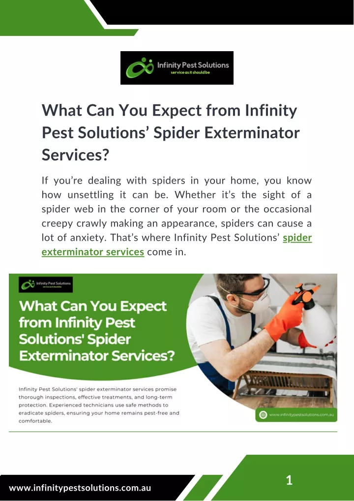 what can you expect from infinity pest solutions