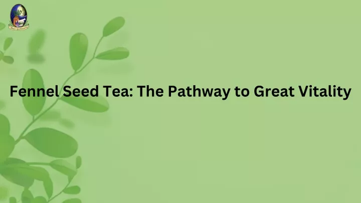 fennel seed tea the pathway to great vitality