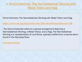 Divine Harmony The Narmadeshwar Shivling with Metal Trishul and Nag