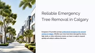 Residential Tree Removal Calgary - Evergreen Ltd