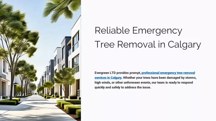 reliable emergency tree removal in calgary