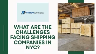 what are the challenges facing shipping companies