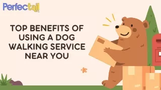 Top Benefits of Using a Dog Walking Service Near You