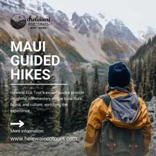 Maui Guided Hikes