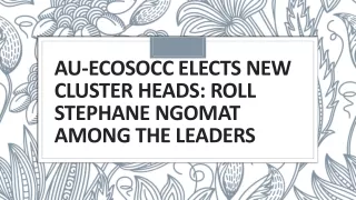 AU-ECOSOCC Elects New Cluster Heads Roll Stephane Ngomat