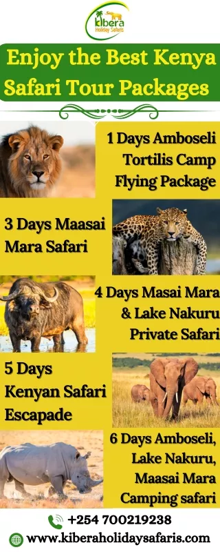 Enjoy the Best Kenya Safari Tour Packages