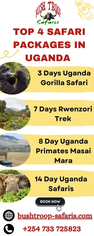 Top 4 Safari Packages in Uganda