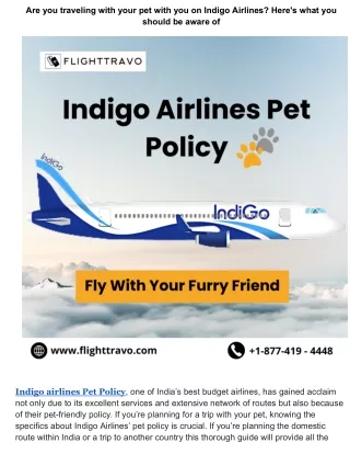 Are you traveling with your pet with you on Indigo Airlines_ Here's what you should be aware of