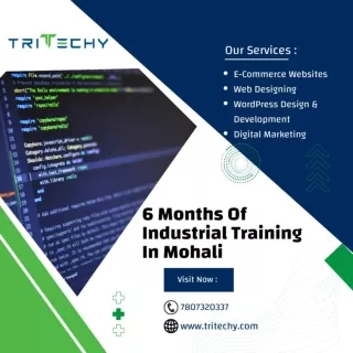 6 Months Of Industrial Training In Mohali