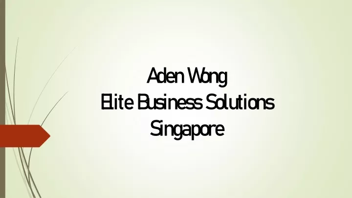 aden wong elite business solutions singapore