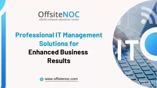 Professional IT Management Solutions for Enhanced Business Results