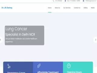 Stage 4 lung cancer treatment in Delhi