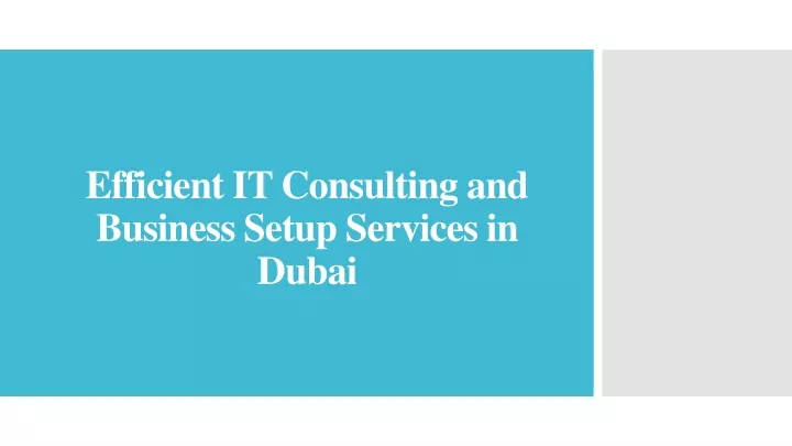 efficient it consulting and business setup services in dubai