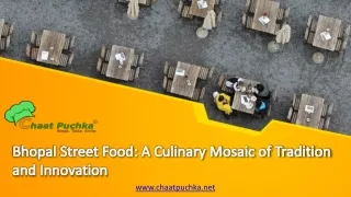 bhopal street food a culinary mosaic of tradition and innovation