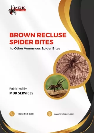 Brown Recluse Spider Bites to Other Venomous Spider Bites