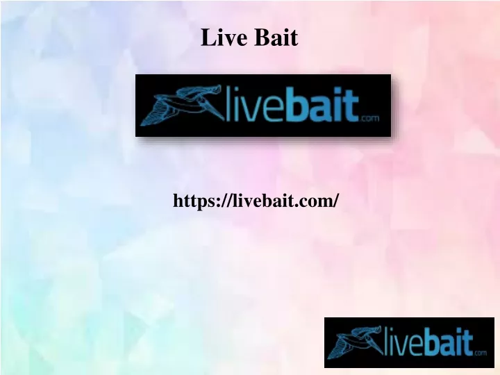 live bait