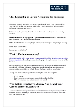 CEO Leadership in Carbon Accounting for Businesses