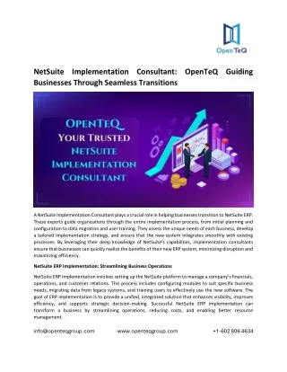 NetSuite Implementation Consultant: OpenTeQ Guiding Businesses Through Seamless