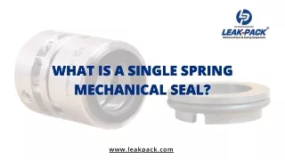 What is a Single Spring Mechanical Seal? – Leakpack