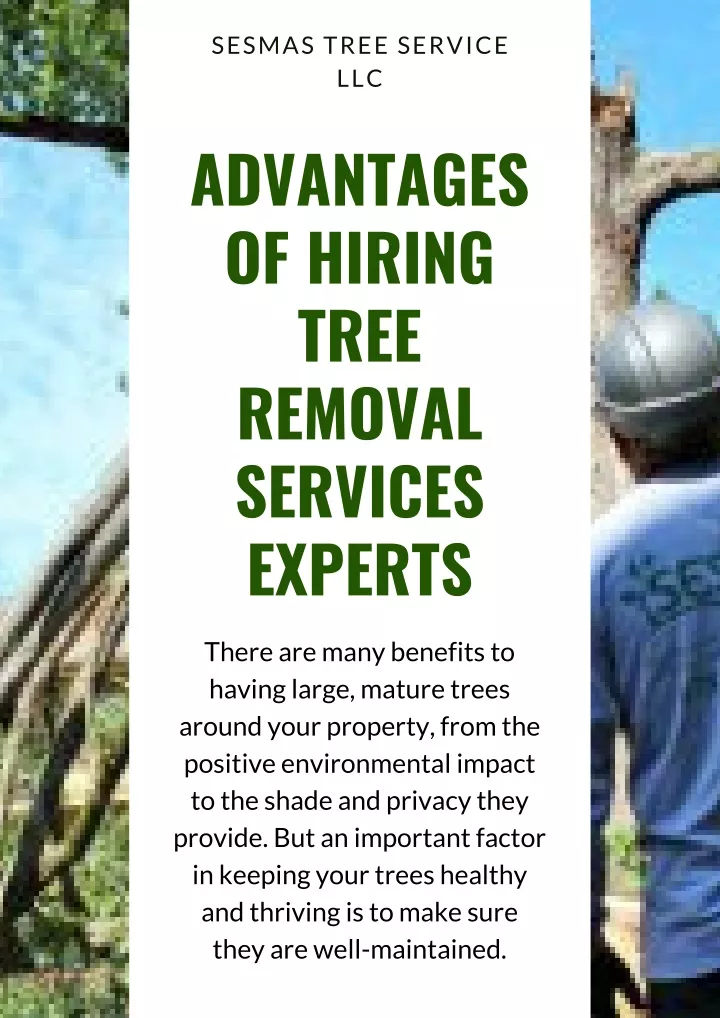 sesmas tree service llc