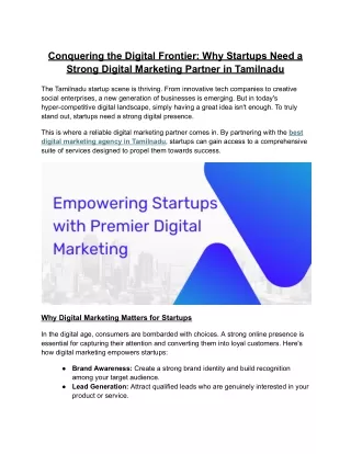 Conquering the Digital Frontier: Why Startups Need a Strong Digital Marketing Pa