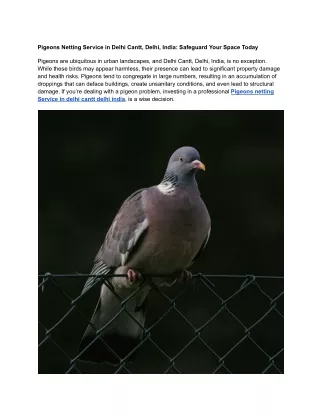 Effective Pigeons Netting Service in Delhi Cantt, Delhi, India_ Safeguard Your Space Today