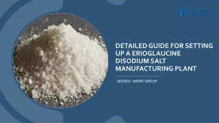 Report on a Erioglaucine Disodium Salt Manufacturing Plant