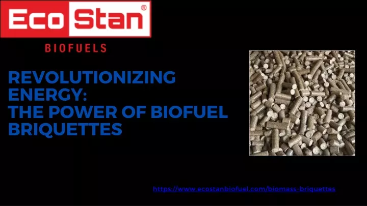 revolutionizing energy the power of biofuel