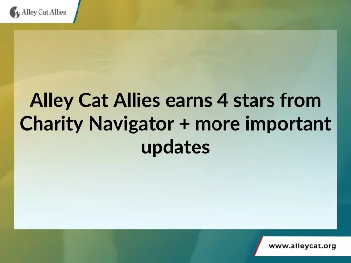 alley cat allies earns 4 stars from charity navigator more important updates