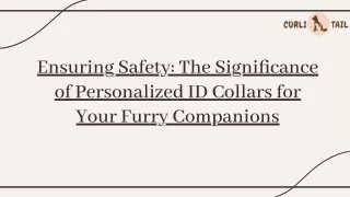 Why Customized ID Collars Matter for Your Pets | CurliTail