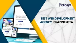 Best Web Development Agency In Minnesota-Idiosys USA