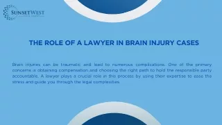 The Role of a Lawyer in Brain Injury Cases