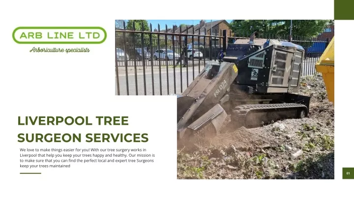 liverpool tree surgeon services we love to make