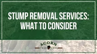 Key Considerations for Stump Removal Services