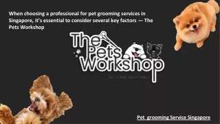 When choosing a professional for pet grooming services in Singapore, it’s essential to consider several key factors — Th